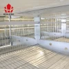 battery hot galvanized chicken cages poultry farm chicken cage manufacturer