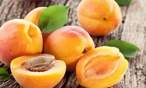 Best Quality Fresh Apricots Fruits of Various Colors