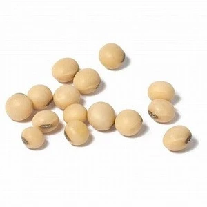 Best Quality Natural Soybean & Soybean Seed