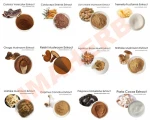 Best Seller Cold Pressed 100 Natural Apricot Kernel Oil