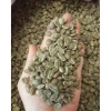 Best Selling Arabica Coffee Beans green Coffee Beans VietnamCoffee Beans Roasted