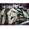 Best selling Pacific Mackerel HG frozen seafood