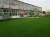 Import Best selling products comfortable made in china white artificial grass from China