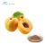 Import Bitter Apricot Seed Extract Powder Kernels Extract from China