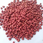 Blanched Peanut/Peanuts white peanut kernel for Human Consumption