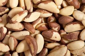 Brazil nuts/Best quality/ competitive price /fast delivery time