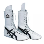 Breathable Professional mesh boxing wrestling shoes