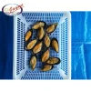 Bulk Products wholesale imported from China frozen high quality half shell cooked mussel