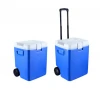 camping trolley cooler box car mini fridge with 5W blue tooth speaker support logo