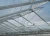 Import CE, IGCC&AS/NZS certified 3.2mm 4mm Clear Tempered Greenhouse Glass from China