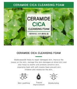 Ceramide Cica Cleansing Foam 100ml (Weight : 133g)