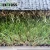 Import cheap chinese landscaping artificial grass football artificial grass mat/grass carpet from China