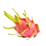 Cheap price fresh Vietnamese dragon fruit
