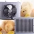 Import Chicken House hot water radiator heater keep Chicken Coops heating in winter from China