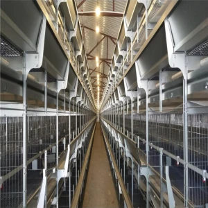 China factory supply hot sale H type battery animal cage chicken poultry broiler cage baby chicken cages