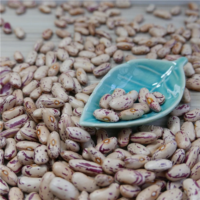 Chinese Light Speckled Kidney Beans Market Price