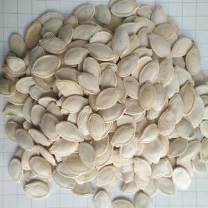 Chinese Shine Skin Pumpkin Seeds Wholesale