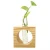 clear glass wooden planter bulb vases logo/wood craft crates
