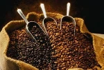 Coffee Beans (Robusta, Excelsa, Liberica and Arabica