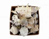 Colored Natural Sea Shell Packed Craft Box Decorated by Raffia