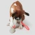 Import Creative Felt Dog Toys Interactive Custom Pet Dog Plush Toy New Dog Toy from China