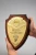 Import Custom Carbon Crystal Award Plaque UV Carving Process Wooden Metal Combination Featuring Shield Logo for Trophies Medals from China