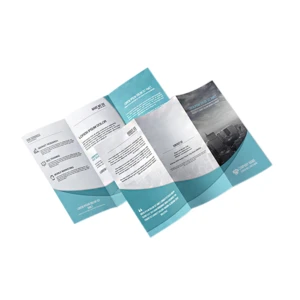 Custom Design Printing Service Full Color Cheap Brochure/Booklet/Fold Leaflet/Flyer Printing