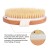 Import Custom Natural Bristle Exfoliating Skin Shower Scrub Brush Exfoliating Handheld Dry Body Brush Anti Cellulite Massage Bath Brush from China