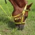 Import Customized design your own horse halter from China