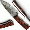 Damascus Knife for Hunting Skinning - Fixed Blade Hunting Knife with Sheath - Damascus Steel Knife with Wood Handle