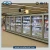 Import DDW Series Refrigeration Equipment Glass Door Display Refrigerator Commercial Freezer for Supermarket from China