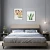 Import Decker Bed Metal Steel New China Style Modern Furniture Bedroom Material Origin Iron Type from China