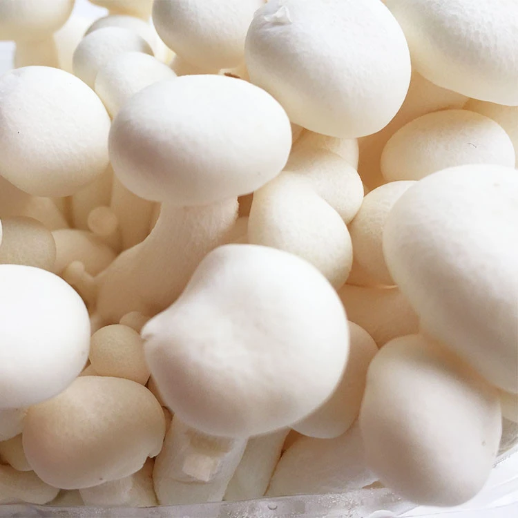 Detan White Shimeji Mushroom Packaging