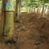 Drip Irrigation pipe for agriculture product