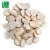 Import Drotrong factory supply wholesale freeze dry champignon mushroom price from China