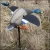 Import Duck Hunting Decoys Mallard For Duck Hunting from China