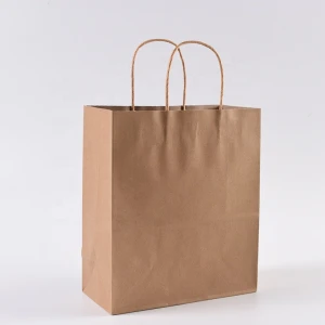 Eco Friendly Environmental Bag Customized Logo Easily Carry Wholesale Cheap Price  Multi Color Kraft Paper Bag