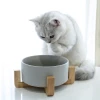 Eco friendly High Quality Dog Cat Ceramic Bowl Pet Water Food Feeder Colorful Ceramic Pet Bowl