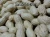Import Egyptian Peanuts from Egypt