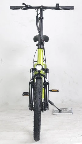 Electric Bicycle Bike Ebike 20 Inch for Adults with Rear Rack and Shimano 7 Speed Derailleur