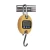 Import Electronic Weighing Travel Portable Digital Luggage Crane Hanging Scale from China