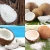 Import Europe Standard Coconut Juice Squeeze Solid-Liquid Processing Machine from China