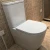 Import European ceramic sanitary ware two piece close-coupled toilet with geberit valves from China