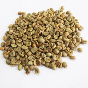 Export High Quality Arabica Green Coffee Beans