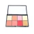 Import Factory Direct Hot Selling Cosmetics Blush Highlight Palette  Face Makeup Professional blusher from China