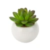 Factory eco-Friendly simulation ceramic artificial succulent potted plant in low price ES0480