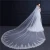 Import Factory price fashions Long Wedding Veils Applique Flowers ivory lace trim bridal veil from China