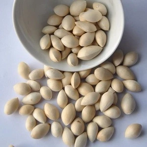 Factory Supply Best Quality Ginkgo Nuts...