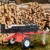 Farm equipment horizontal and vertical 24Ton log splitter for firewood