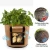 Import Flower Pots Planters DIY Potato Grow Planter PE Cloth Planting Container Bag Thicken Garden Pot Gardening Tools from China